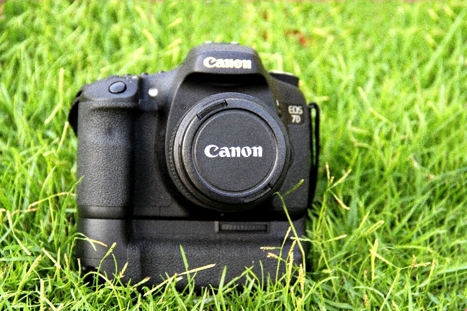 Photography girl photograph