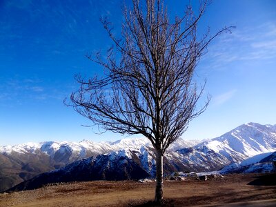 Three landscape nature