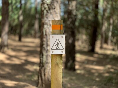 Tracking mount green