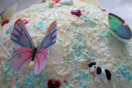 Birthday cake butterfly bake