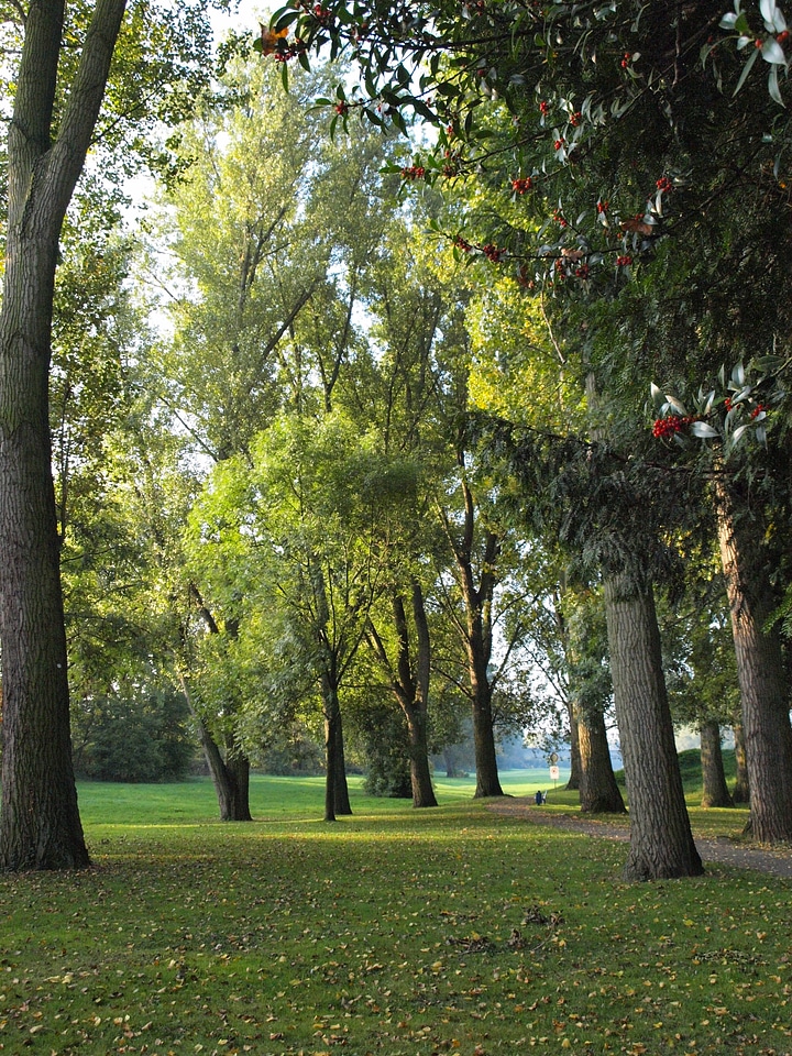 Main meadows main river