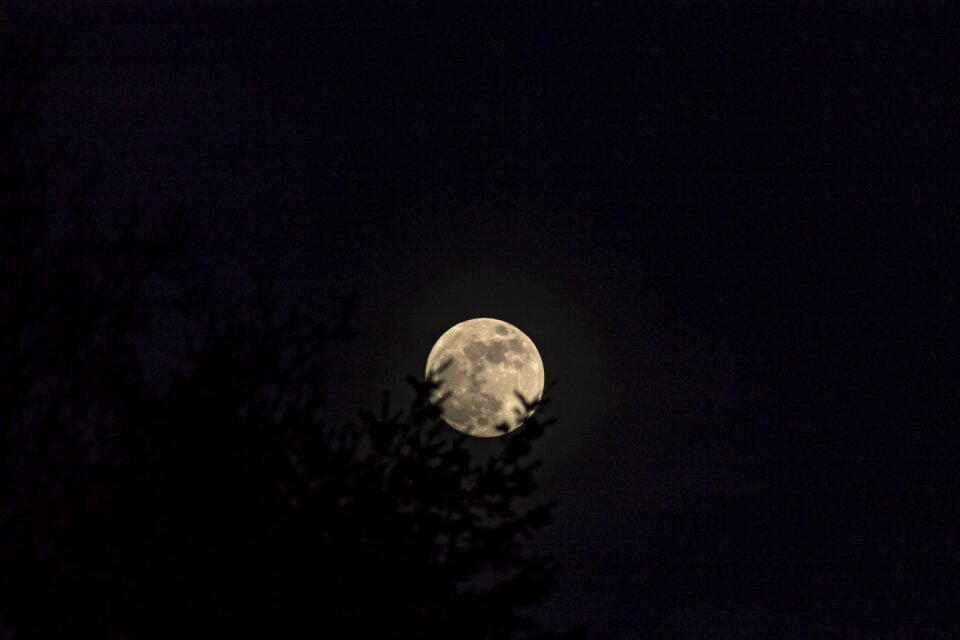 Night astronomy science
