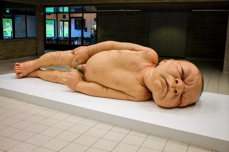 Infant birth ron mueck photo