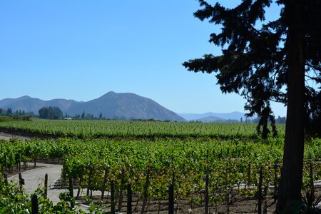 Winery santiago chile