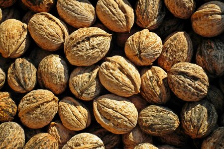 Autumn diet vitamins