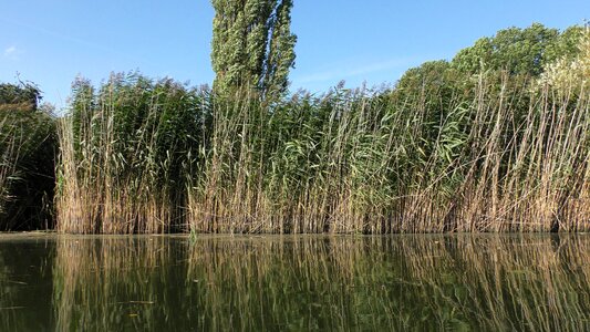 Waters mirroring pond photo