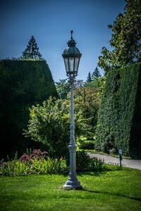 Idyllic garden romantic