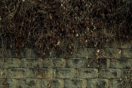Background stone brick