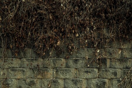 Background stone brick photo