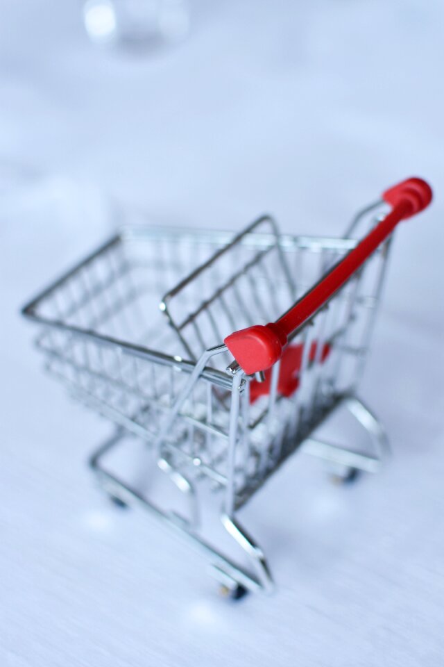 Shopping cart shopping small