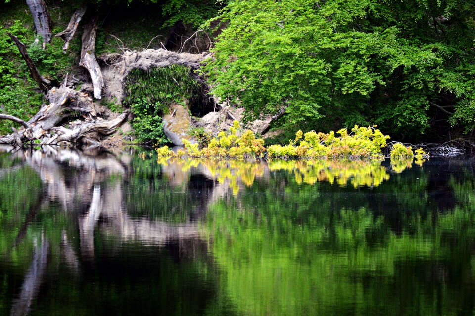 Water nature landscape