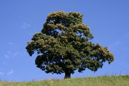 Air oxygen landscape