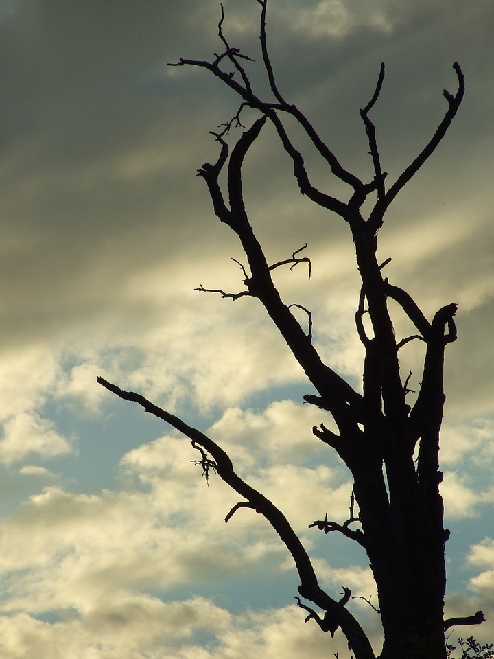 Kahl aesthetic gloomy