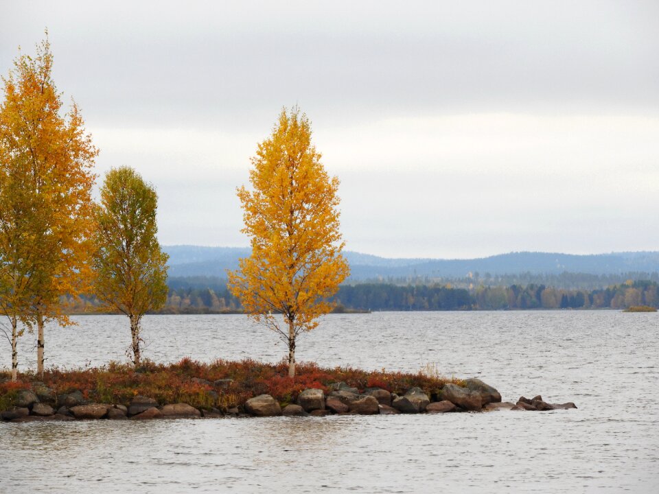 Water cloudy fall colors