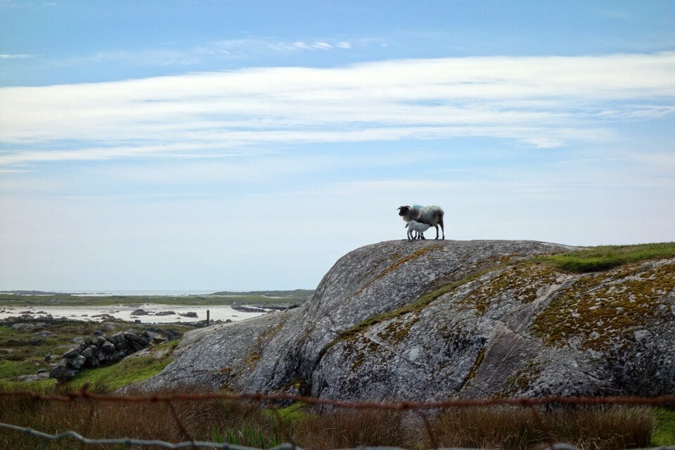 Connemara landscape rock