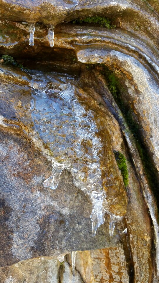 Winter frozen nature