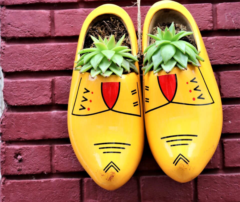 Netherlands traditionally yellow