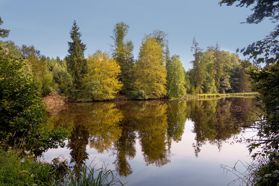 Mirror image autumn nature