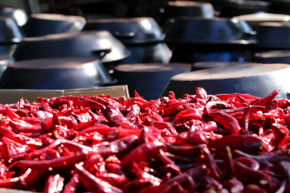 Dry pepper korea pepper chapter reading