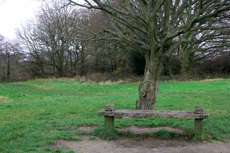 Park landscape rest photo