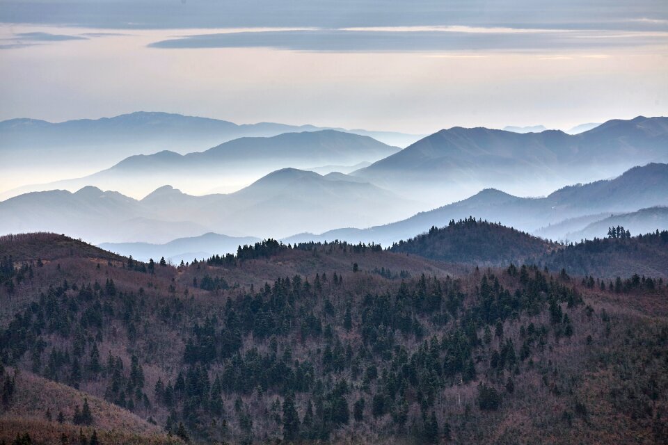 Nature fog mountain