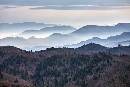 Nature fog mountain photo