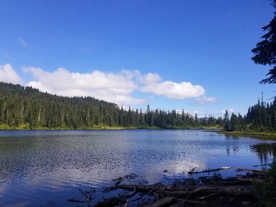 Landscape lake mt rainier