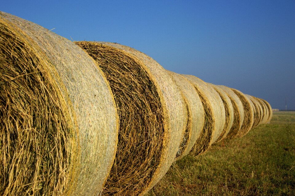 Field nature agriculture