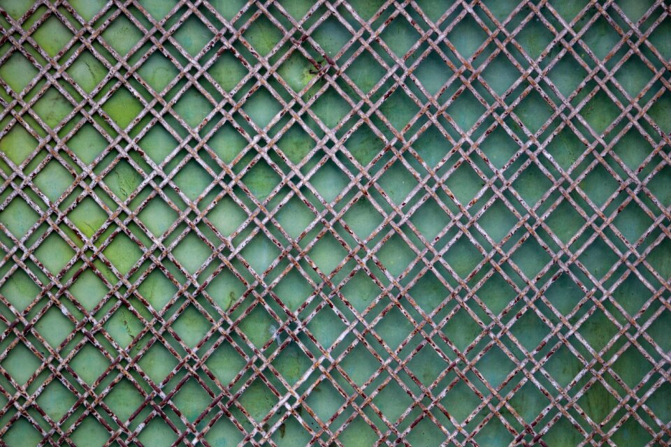 Green texture green background web photo