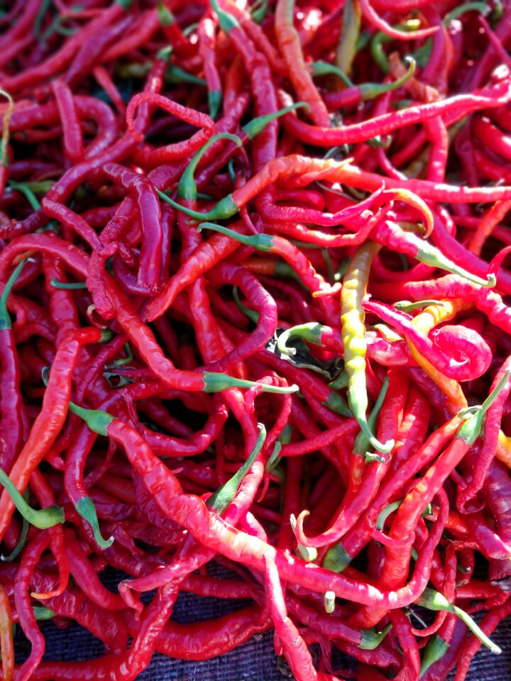 Spicy kitchen vegetables