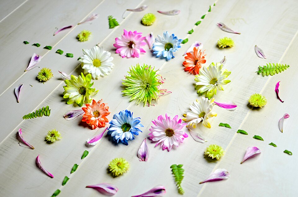 Petal nature