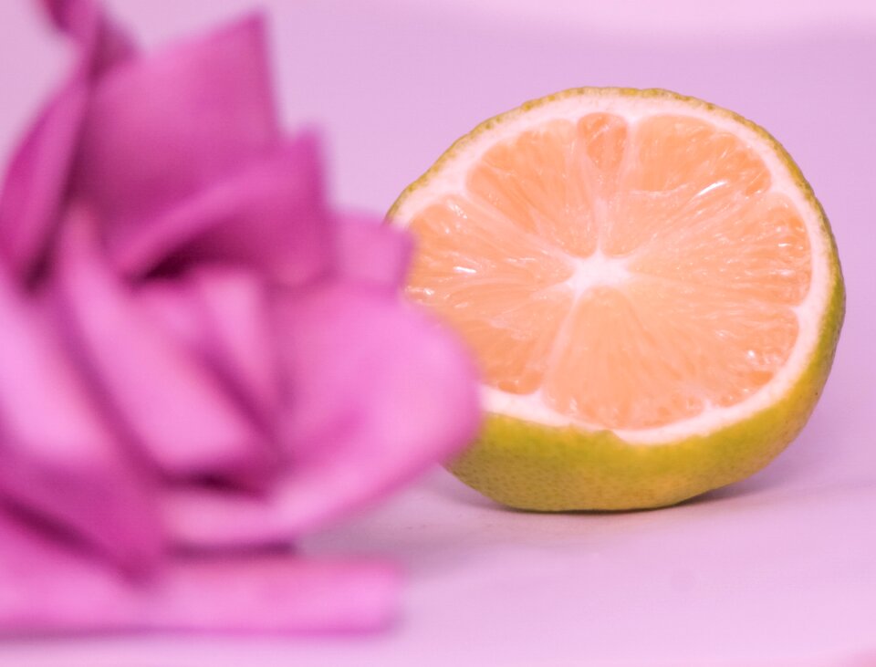 Lens citron couleur rose