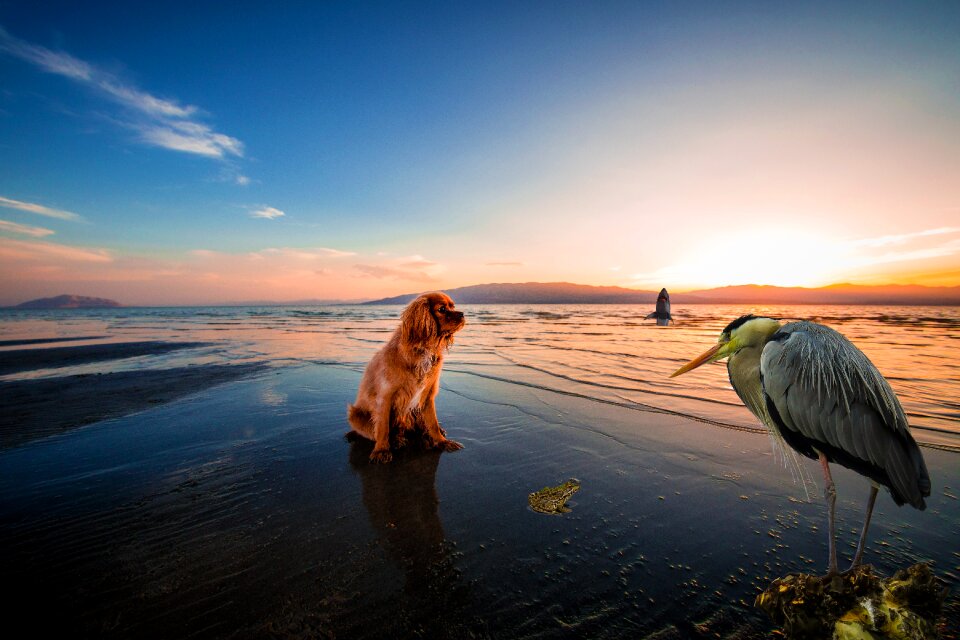 Dusk peaceful beach
