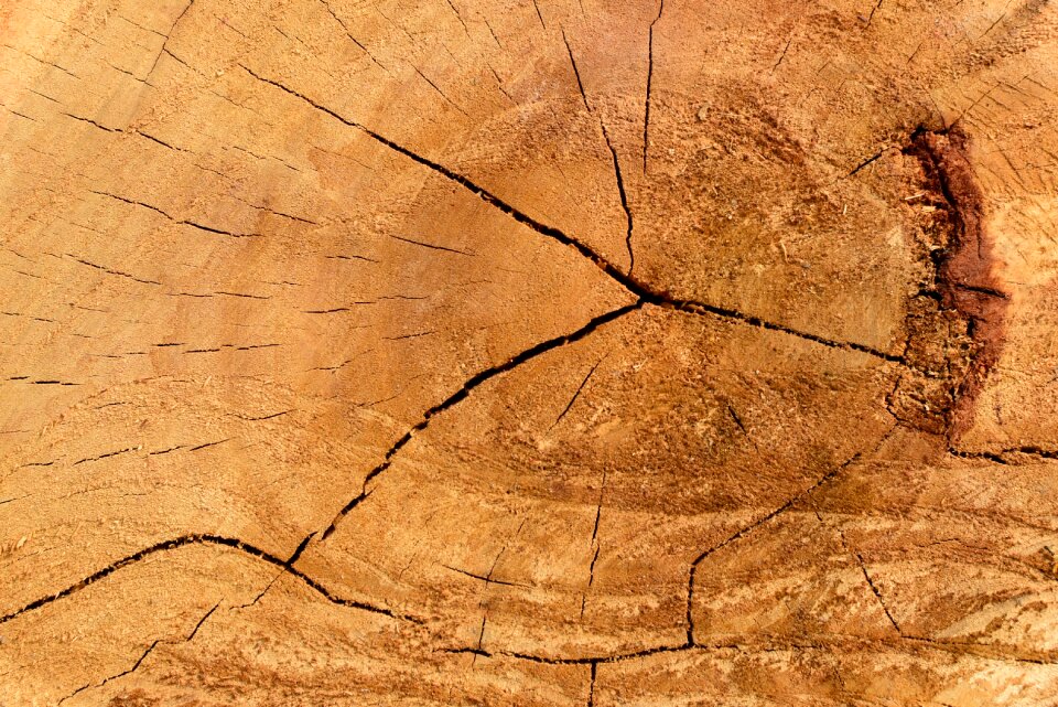 Rough texture texture mapping coarse texture