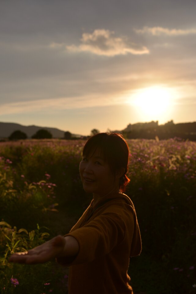 Sunset cosmos hand