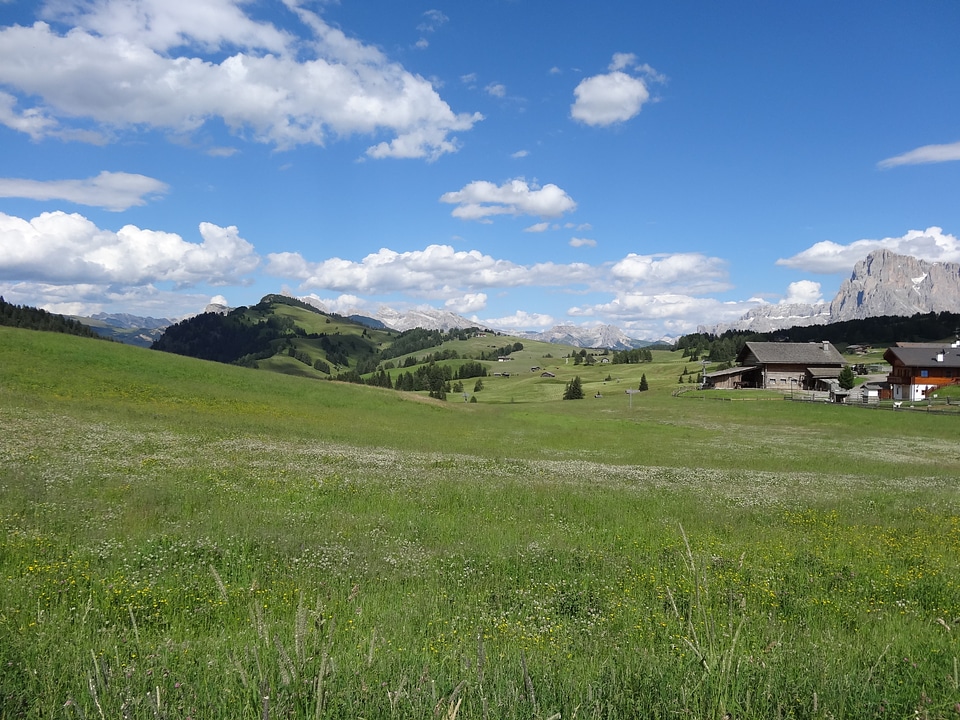 South tyrol alpine pasture