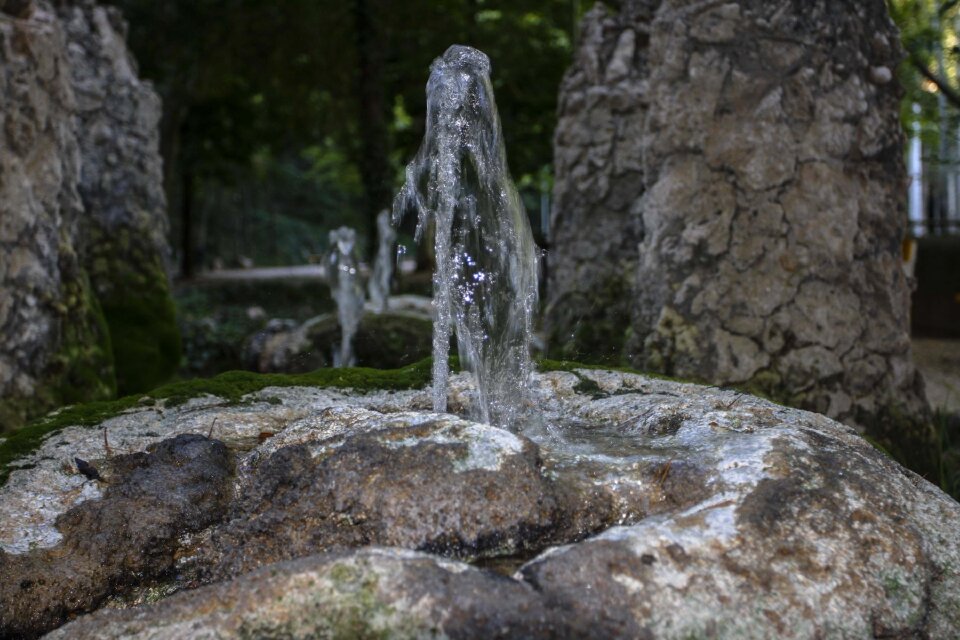 Source nature life