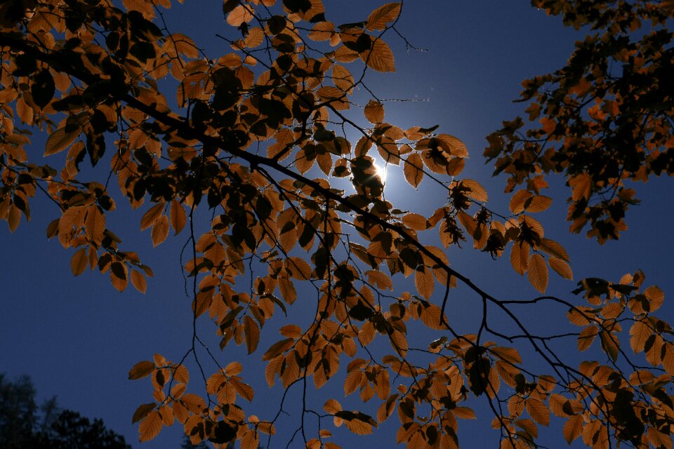 Nature sky mood