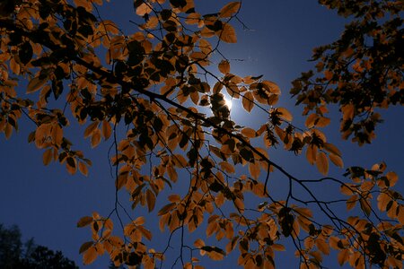 Nature sky mood