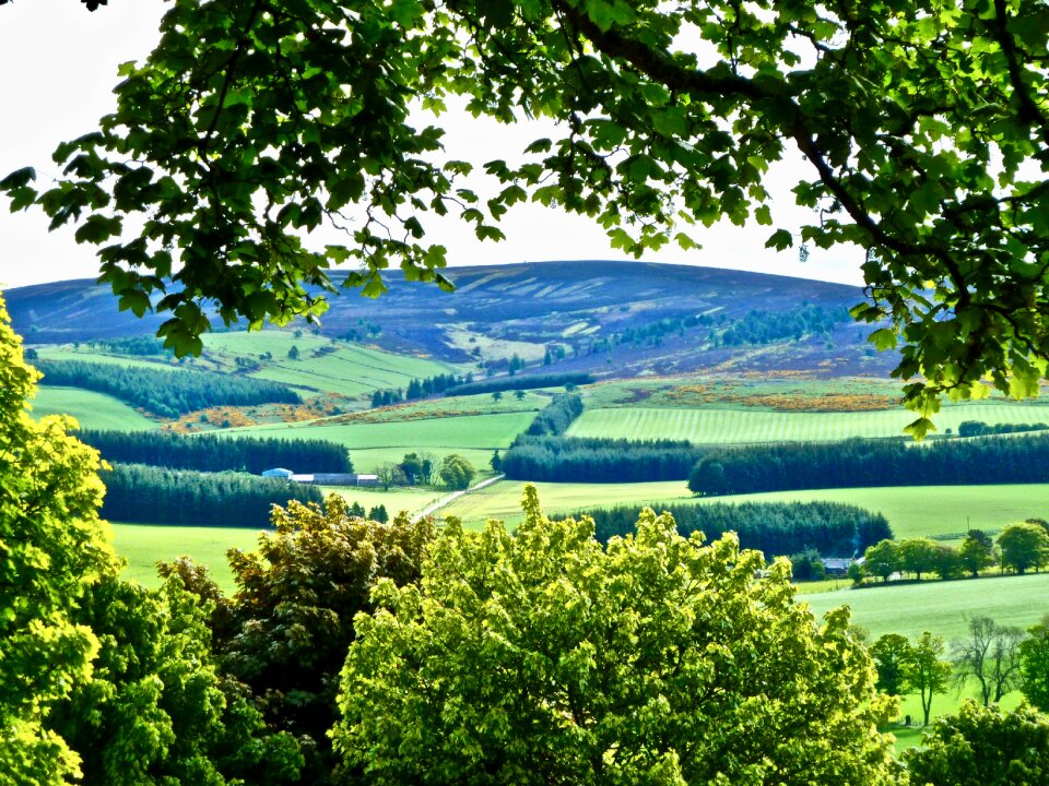 Outdoors outdoor farm