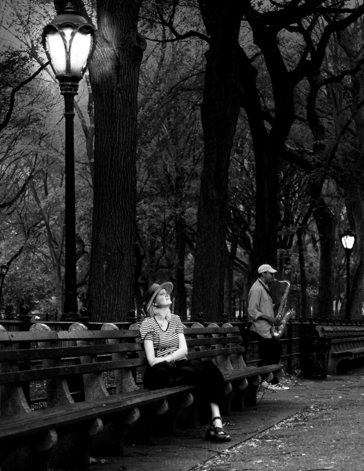 Concert peaceful gray peace
