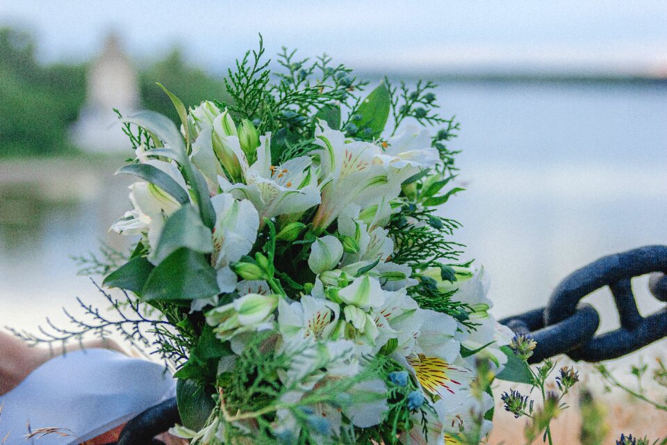 Flowers bouquet nature