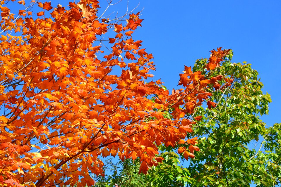 Landscape sunbeam coloring