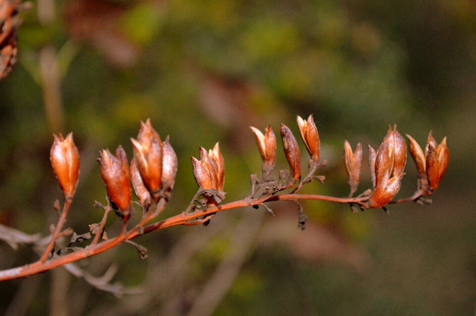 Nature colorful warm