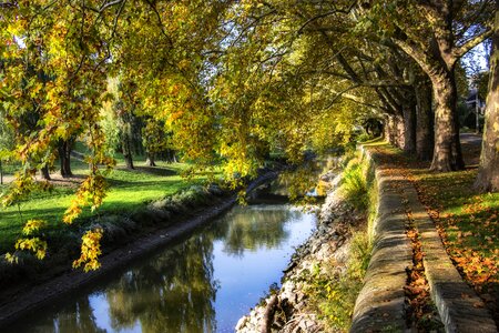 Lying mood foliage photo