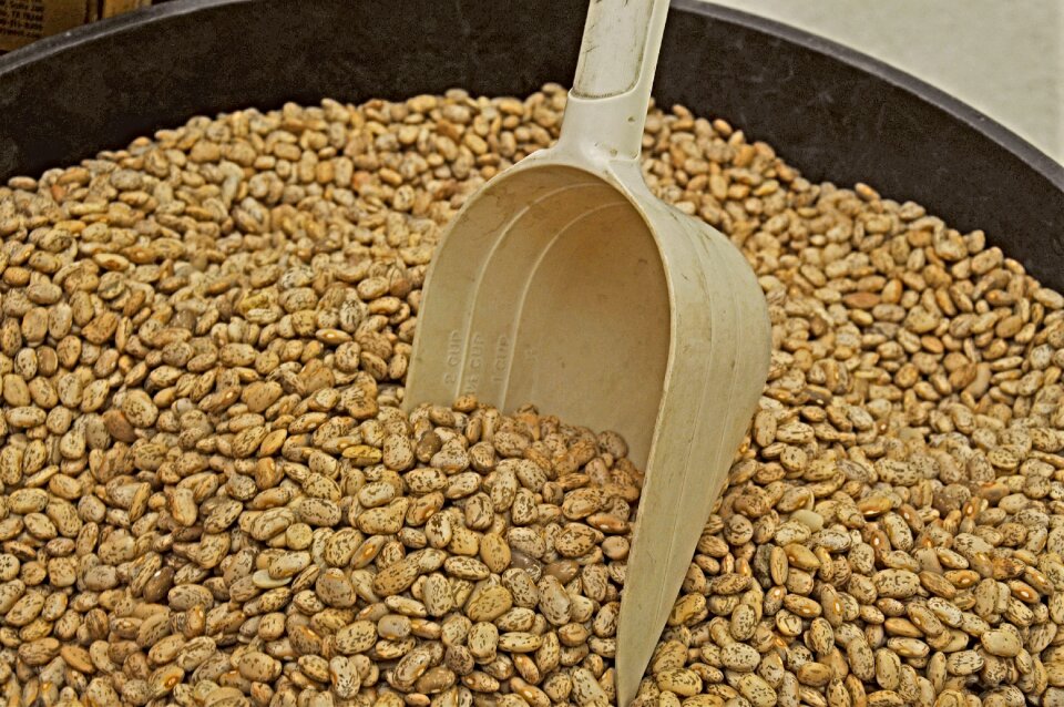 Beans dry beans scoop