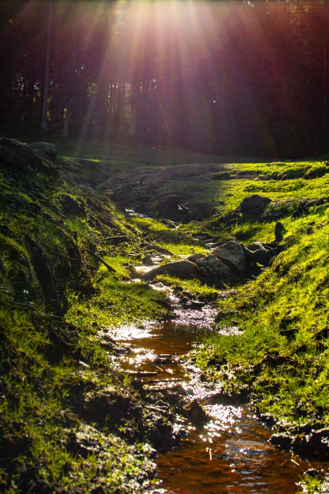 Mountains trees water