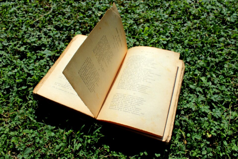 Poetry smile silence