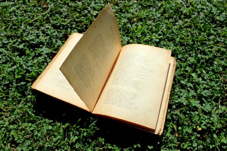 Poetry smile silence