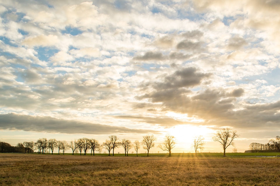 Nature mood skies